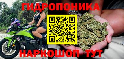 прущие крисы Малгобек