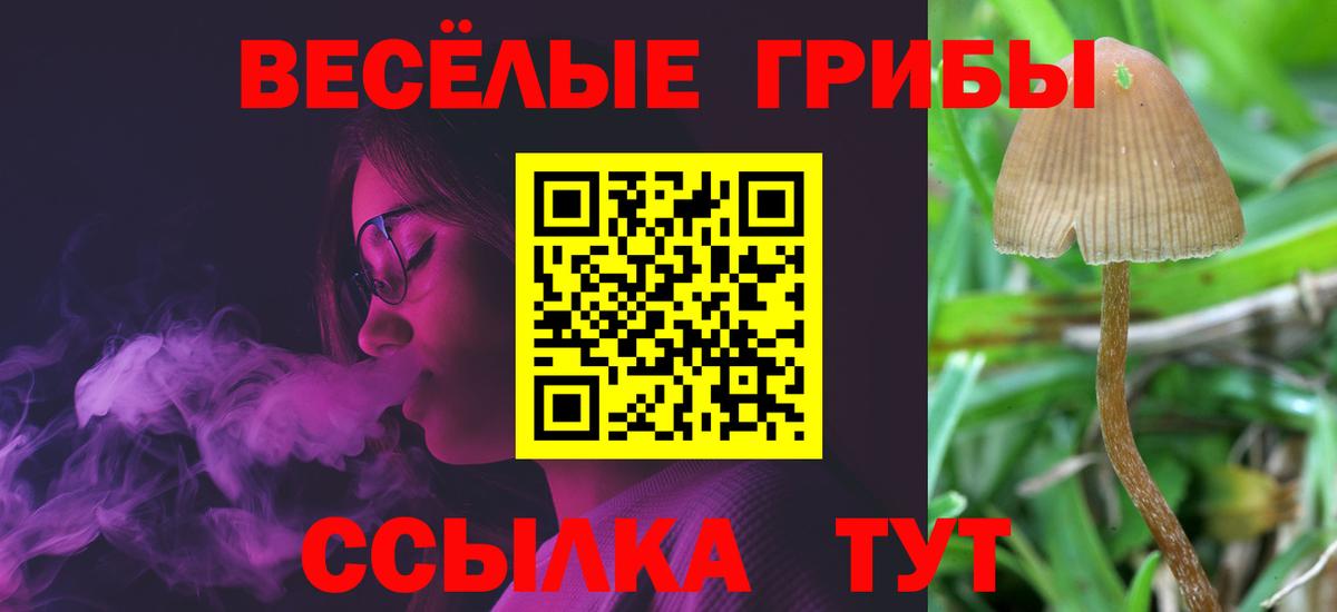 Псилоцибиновые грибы GOLDEN TEACHER  Вход с VPN  Ханты-Мансийск 
